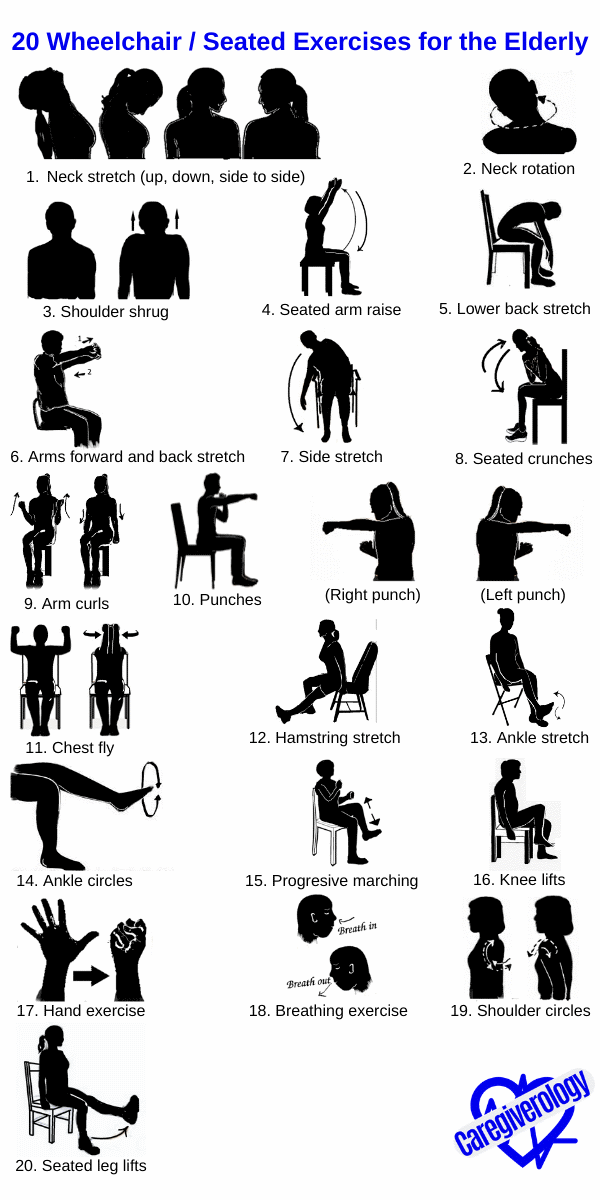 20 Wheelchair / Seated Exercises for the Elderly - Caregiverology
