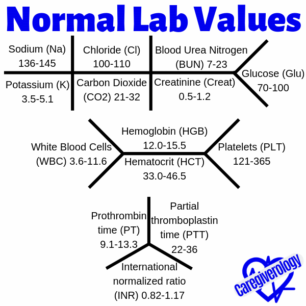 List of Normal Lab Values and Tube Colors Caregiverology